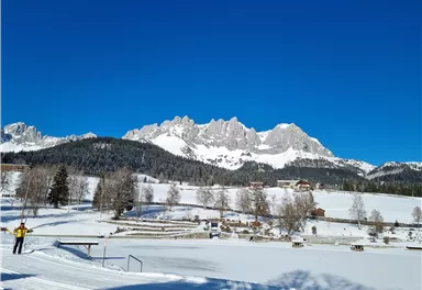 Eine winterliche Landschaft mit schneebedeckten Bergen und blauem Himmel. Im Vordergrund sind schneebedeckte Felder und Bäume zu sehen.