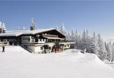 A large restaurant in the mountains, surrounded by snow-covered fir trees. The sky is clear and sunny, ideal for winter sports.