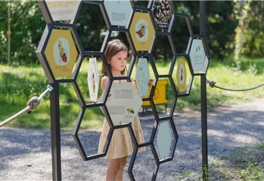A girl stands in front of a bee installation with hexagonal panels. The panel explains various aspects about bees and their significance.