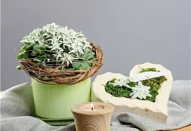 Ein dekorativer Topf mit grünen Pflanzen und einer Drahtumwicklung. Daneben steht eine Holzkerze und ein hölzernes Herz mit Moos und Deko.