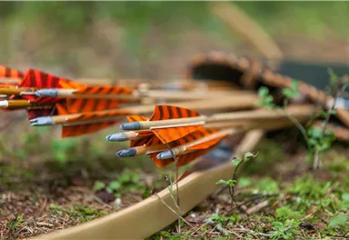 A group of arrows with colorful fletchings lies on the ground in the forest. In the background, a bow can be seen.