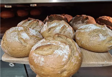 Freshly baked rolls with a golden brown crust and a light dusting of flour. They are lying on a wooden board in a bakery.