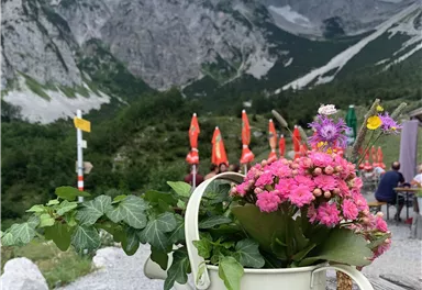 A small bucket with colorful flowers and green leaves is on a wooden chair. In the background, there are impressive mountains and a cloudy sky.