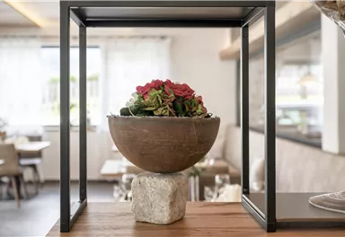 A decorative plant in a round bowl, standing on a stone. In the background, a cozy interior with tables is visible.