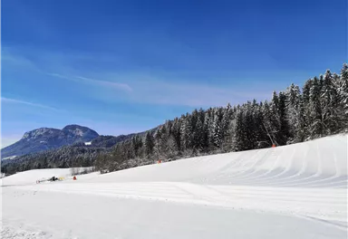 A wintry landscape with snow-covered fields and a clear blue sky. In the background, forests and mountains can be seen.