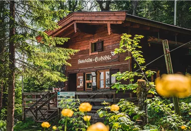 A cozy wooden cabin surrounded by trees and flowers. The cabin has large windows and an inviting porch.