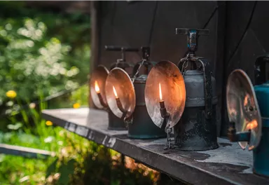 A row of old oil lamps stands on a shelf. In the background, green plants are visible, creating a natural environment.