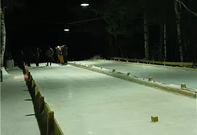 Eine beleuchtete Eisbahn in der Nacht, umgeben von Bäumen. Menschen genießen das Schlittschuhlaufen in einer winterlichen Atmosphäre.