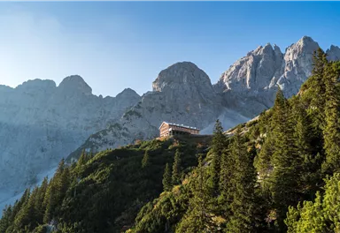 Eine malerische Berglandschaft mit hohen Gipfeln und einem Wald aus Nadelbäumen. Im Vordergrund steht ein rustikales Gebäude, eingebettet in die Natur.