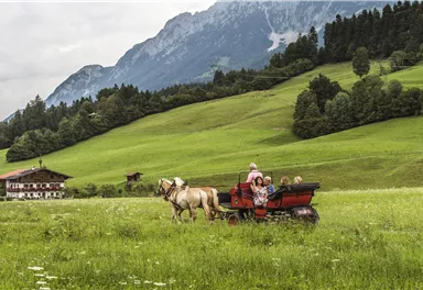 An idyllic landscape image with a green field and mountains in the background. A horse is pulling a carriage with several children sitting in it.