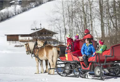 A horse-drawn sleigh ride through a snowy landscape. Children are happily sitting in the red carriage with a wooden house in the background.