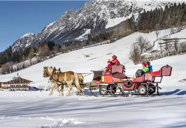 A horse-drawn sleigh ride through a wintry landscape with snow-covered fields and mountains in the background. Two children are sitting in the sleigh and enjoying the ride.