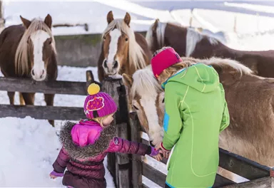 Zwei Kinder stehen an einem Holzzaun und füttern Pferde im Schnee. Die Kinder tragen bunte Winterbekleidung und die Umgebung ist winterlich und hell.