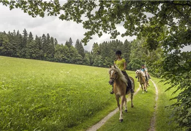 Zwei Reiter auf einem schmalen Pfad durch eine grüne Wiese. Umgeben von Bäumen und einer ruhigen Landschaft.