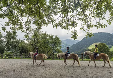 Three female riders are riding their horses in a picturesque setting. Gentle hills and trees surround the riding area.