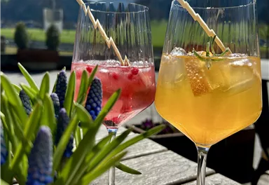 Zwei erfrischende Cocktails stehen auf einem Holztisch, umgeben von blühenden Pflanzen. Im Hintergrund sind grüne Hügel und ein blauer Himmel zu sehen.