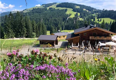 A picturesque mountain hut surrounded by green meadows and mountains. Colorful flowers bloom in the foreground and the sky is clear and blue.