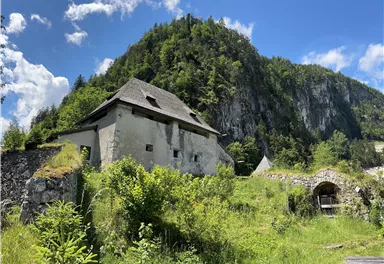 An old, dilapidated building in the midst of green nature. In the background, a tall mountain with trees can be seen.