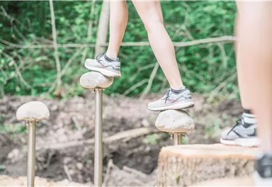 A person balances on stones in the forest. In the background, green trees can be seen.