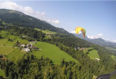 A beautiful view of green hills and forests. A paraglider glides over the landscape.