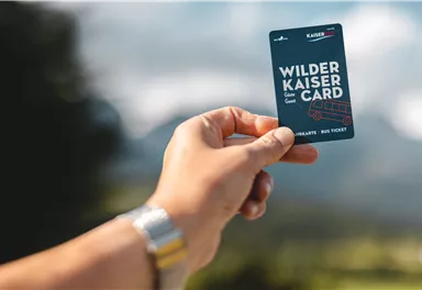 A hand holds the Wilder Kaiser Card in front of a beautiful mountain landscape. In the background, green hills and blurred mountains can be seen.