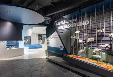 A modern exhibition space featuring a display of underwater rocks. The walls are in shades of blue and gray and display informative labels.
