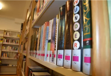 Eine Reihenfolge von Büchern in einer Bibliothek. Die Bücher haben unterschiedliche Cover und sind mit Etiketten gekennzeichnet.