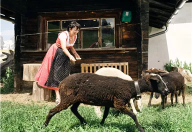 A woman in traditional attire takes care of sheep in front of a wooden house. The scene depicts rural life with lush grass and a countryside atmosphere.