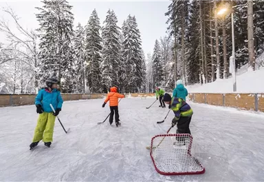 Eine Gruppe von Kindern spielt Eishockey auf einer gefrorenen Eisbahn. Im Hintergrund sind schneebedeckte Bäume sichtbar.