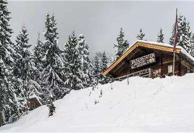 A charming mountain cabin in a snowy landscape.  
Surrounded by tall, snow-covered fir trees under a cloudy sky.