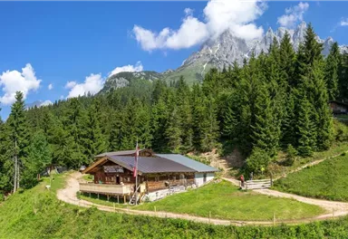 A cozy cottage surrounded by green forests and mountains. The sky is blue with a few clouds.