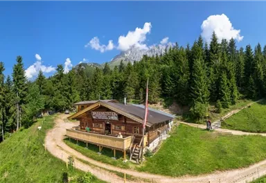 A cozy mountain cabin surrounded by green trees and clear blue sky. The path winds through the picturesque landscape.