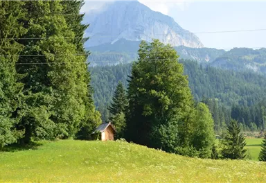 A picturesque landscape with mountains in the background and lush trees. A small cottage stands on a green meadow.