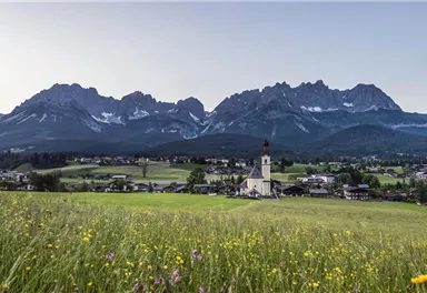 A picturesque landscape with green meadows and a small village. In the background, impressive mountains rise.
