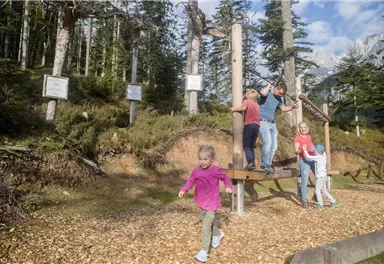Eine Gruppe von Kindern spielt an einem Holzgerüst im Wald. Die Sonne scheint und die Landschaft ist grün und einladend.