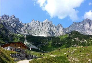 A picturesque mountain landscape with tall cliffs and lush greenery. In the foreground, there is a cabin surrounded by grazing cows.