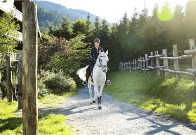 Eine Person reitet auf einem weißen Pferd auf einem schmalen Weg. Umgeben von grünen Bäumen und einem sonnigen, klaren Himmel.