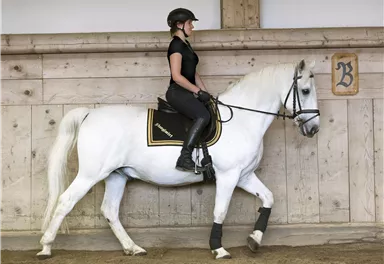 Eine Reiterin sitzt auf einem weißen Pferd in einer Pferdehalle. Die Umgebung ist aus Holz und der Boden ist mit Sand bedeckt.