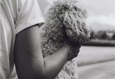 Ein Mensch sitzt mit einem Hund, während sie die Landschaft betrachten. Der Hund hat lockiges Fell und sieht entspannt aus.