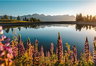 A tranquil lake surrounded by colorful flowers in the foreground. In the background, majestic mountains and a clear sky can be seen.