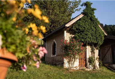 An idyllic, small house surrounded by green trees and flowers. It features charming, rustic architecture.