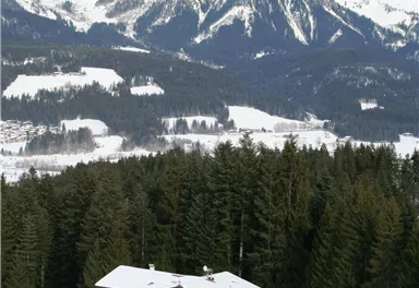 A cozy wooden house is situated in the snow-covered terrain, surrounded by fir trees. In the background, majestic mountains rise beneath a gray sky.