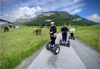 Drei Personen fahren auf Segways entlang einer Straße in einer malerischen Landschaft. Im Hintergrund sind grüne Wiesen und Berge zu sehen, zudem grasen einige Pferde.