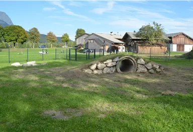 A green field with a large stone pipe. In the background, several farmhouses and trees can be seen.