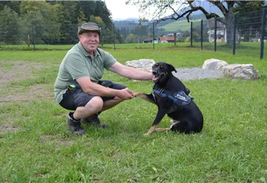A man is kneeling in the grass and holding the paw of a dog. The dog is smiling and wearing a harness.