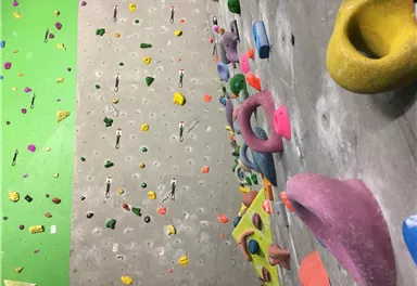 Eine bunte Kletterwand mit verschiedenen Griffen in Formen und Farben. Im Hintergrund sieht man eine grüne Wand mit weiteren Klettergriffen.