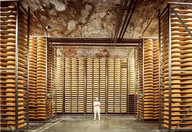 Eine große Lagerhalle mit vielen Regalen, die mit Käselaiben gefüllt sind. In der Mitte steht eine Person in weißer Arbeitskleidung.