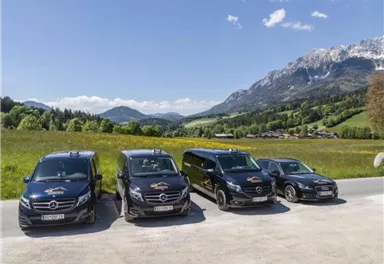 A fleet of Mercedes vehicles is parked in a lot with a picturesque mountain landscape in the background. The surroundings are green, and the sky is clear and sunny.