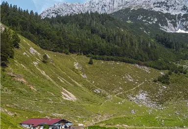 A picturesque mountain cabin is situated in a green meadow, surrounded by snow-capped mountains. The sky is clear and blue, creating a serene landscape.