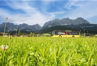 A yellow tour bus is standing on a meadow in front of impressive mountains. The sky is clear and sunny.